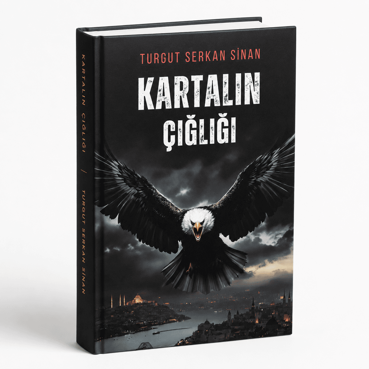 Kartalın Çığlığı